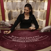 Blackjack VIP 15 game thumbnail